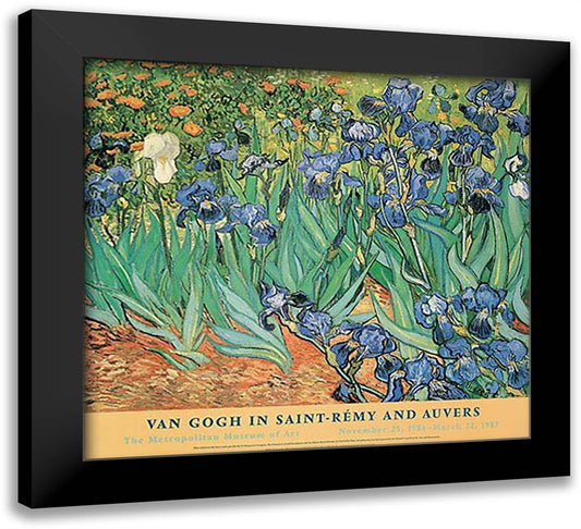 Irises, Garden View 30x28 Black Modern Wood Framed Art Print Poster by Van Gogh, Vincent