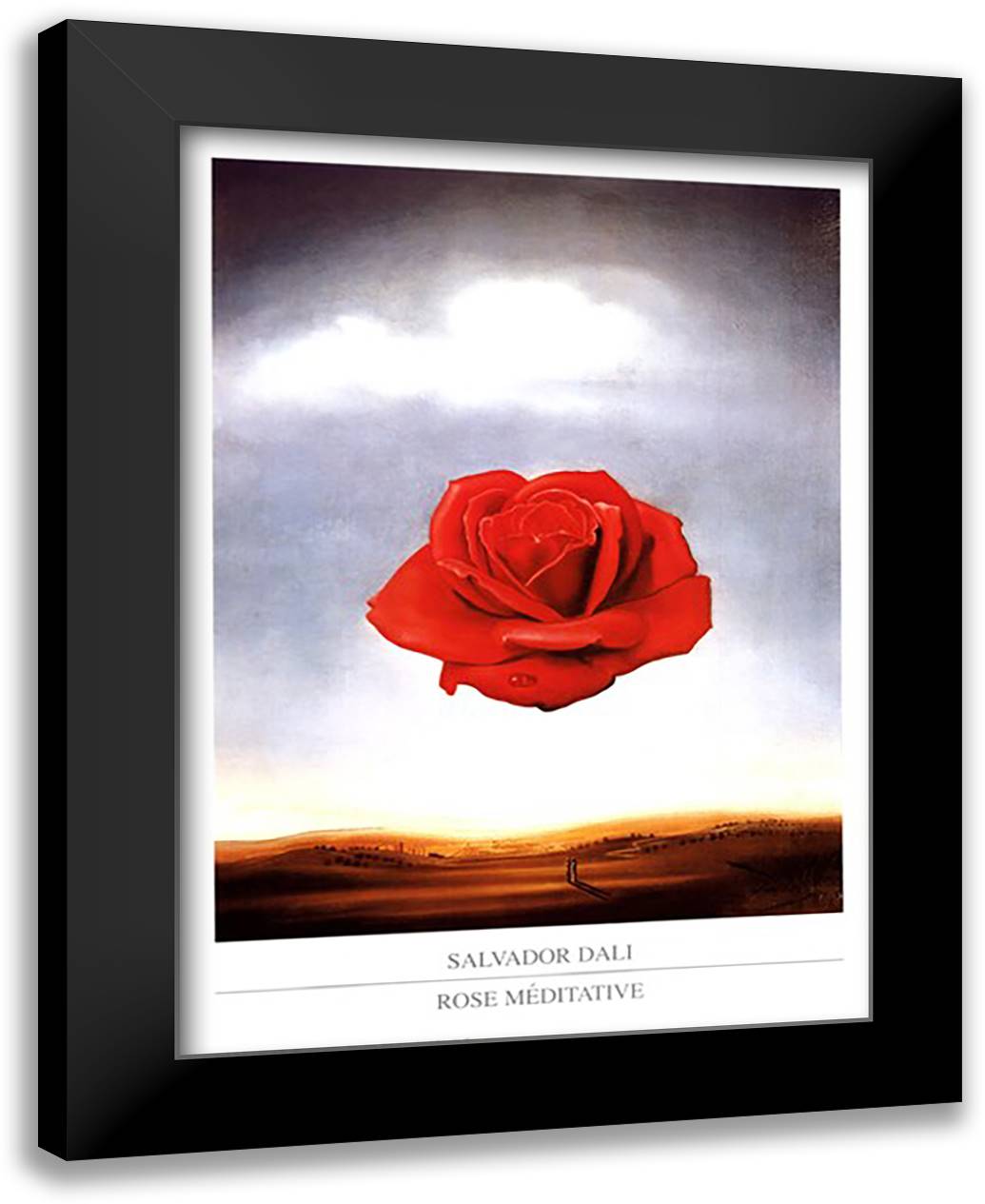 Meditative Rose, c.1958 24x32 Black Modern Wood Framed Art Print Poster by Dali, Salvador