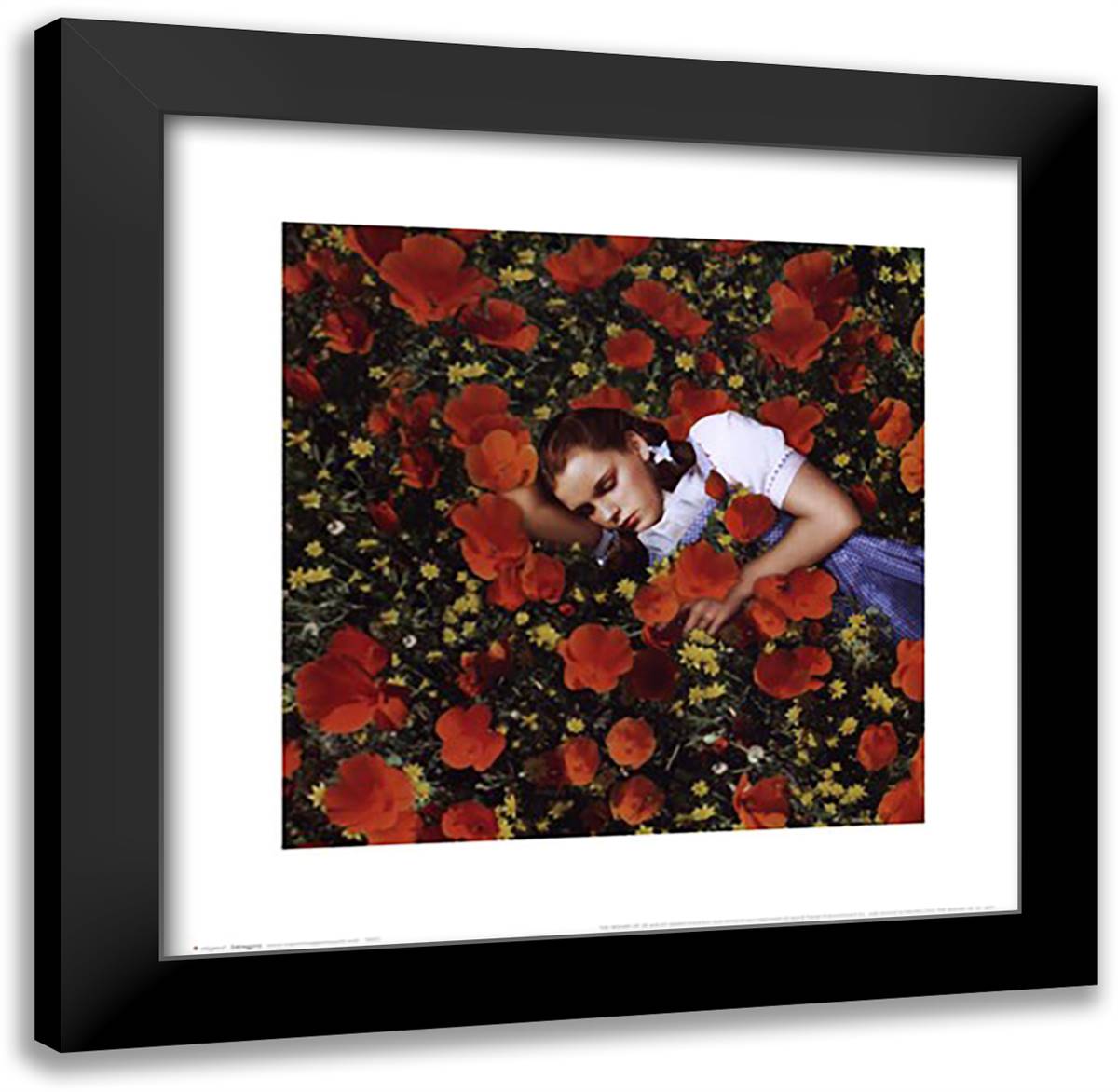 Wizard of Oz - Dorothy Poppies 20x20 Black Modern Wood Framed Art Print Poster