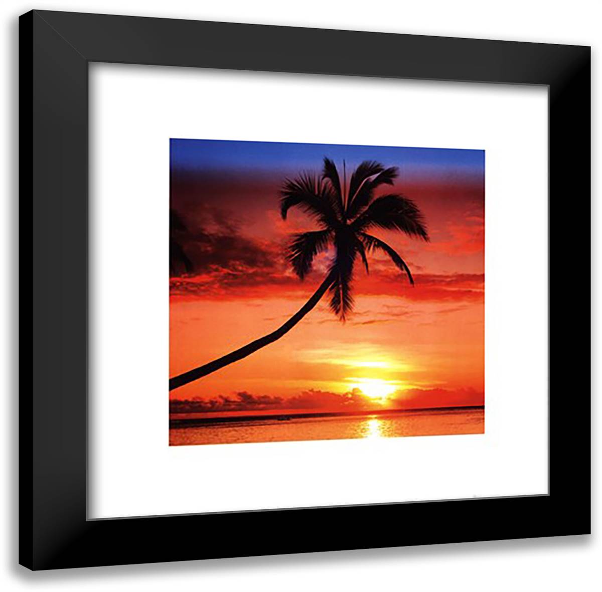 Sunset - Palm Tree 20x20 Black Modern Wood Framed Art Print Poster