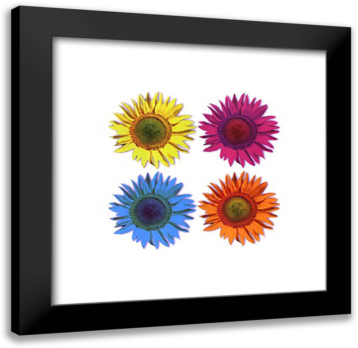 Flowers - Pop 20x20 Black Modern Wood Framed Art Print Poster