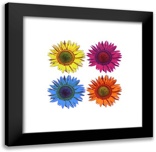 Flowers - Pop 20x20 Black Modern Wood Framed Art Print Poster