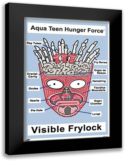 Aqua Teen - Frylock 28x40 Black Modern Wood Framed Art Print Poster