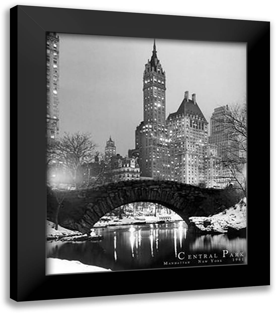 New York-Central Park 20x24 Black Modern Wood Framed Art Print Poster