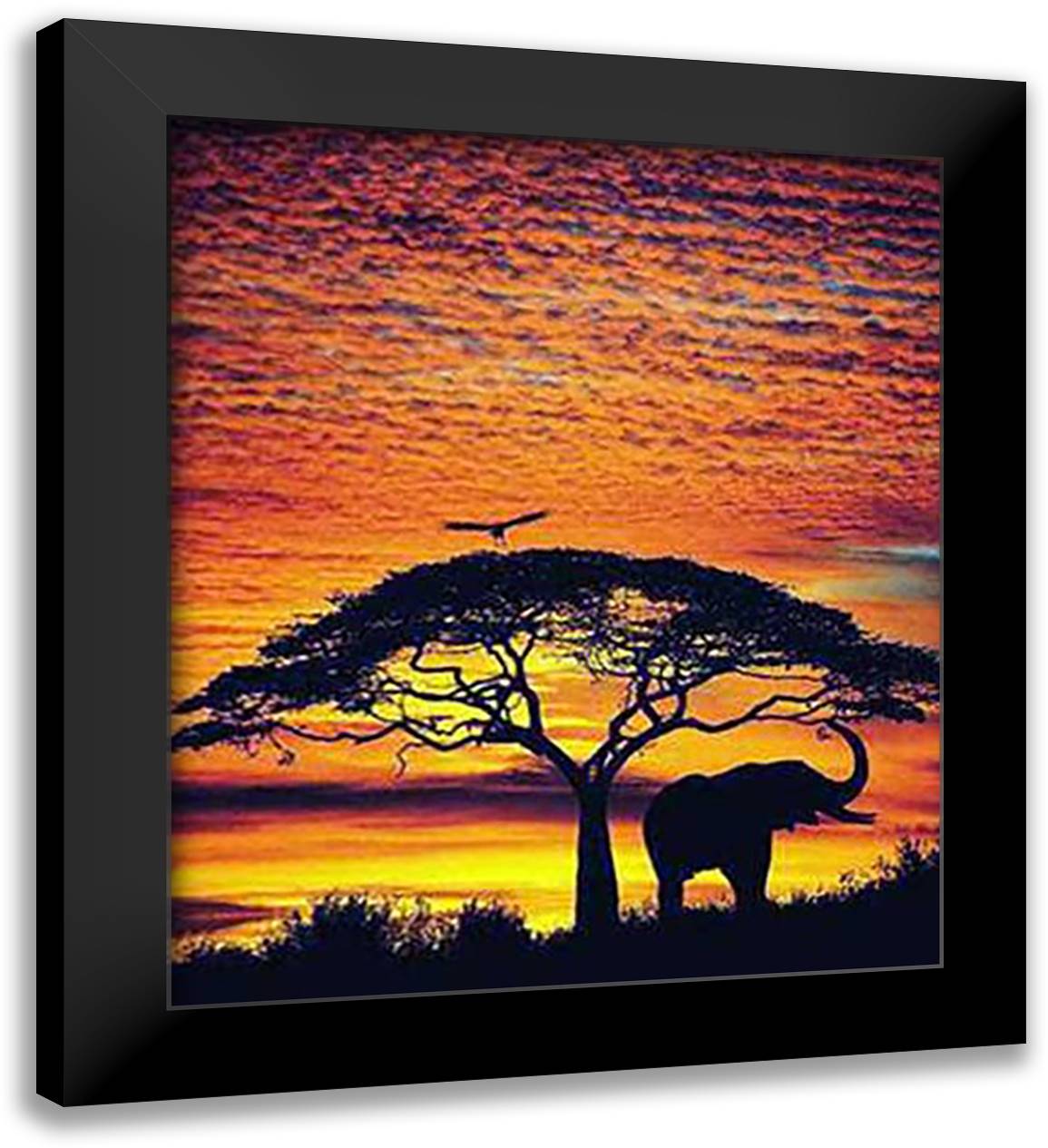African Skies 28x40 Black Modern Wood Framed Art Print Poster by Zuckerman, Jim