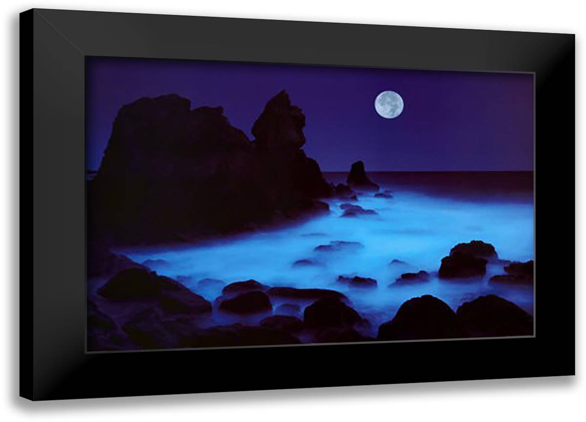 California Coast 40x28 Black Modern Wood Framed Art Print Poster by Hartshorn, William G.