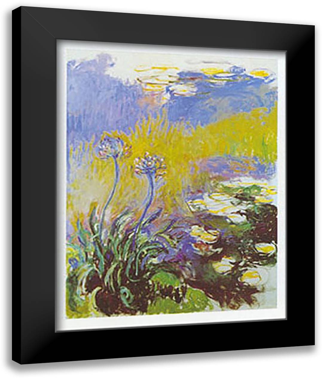 LES AGAPANTHES 24x32 Black Modern Wood Framed Art Print Poster by Monet, Claude