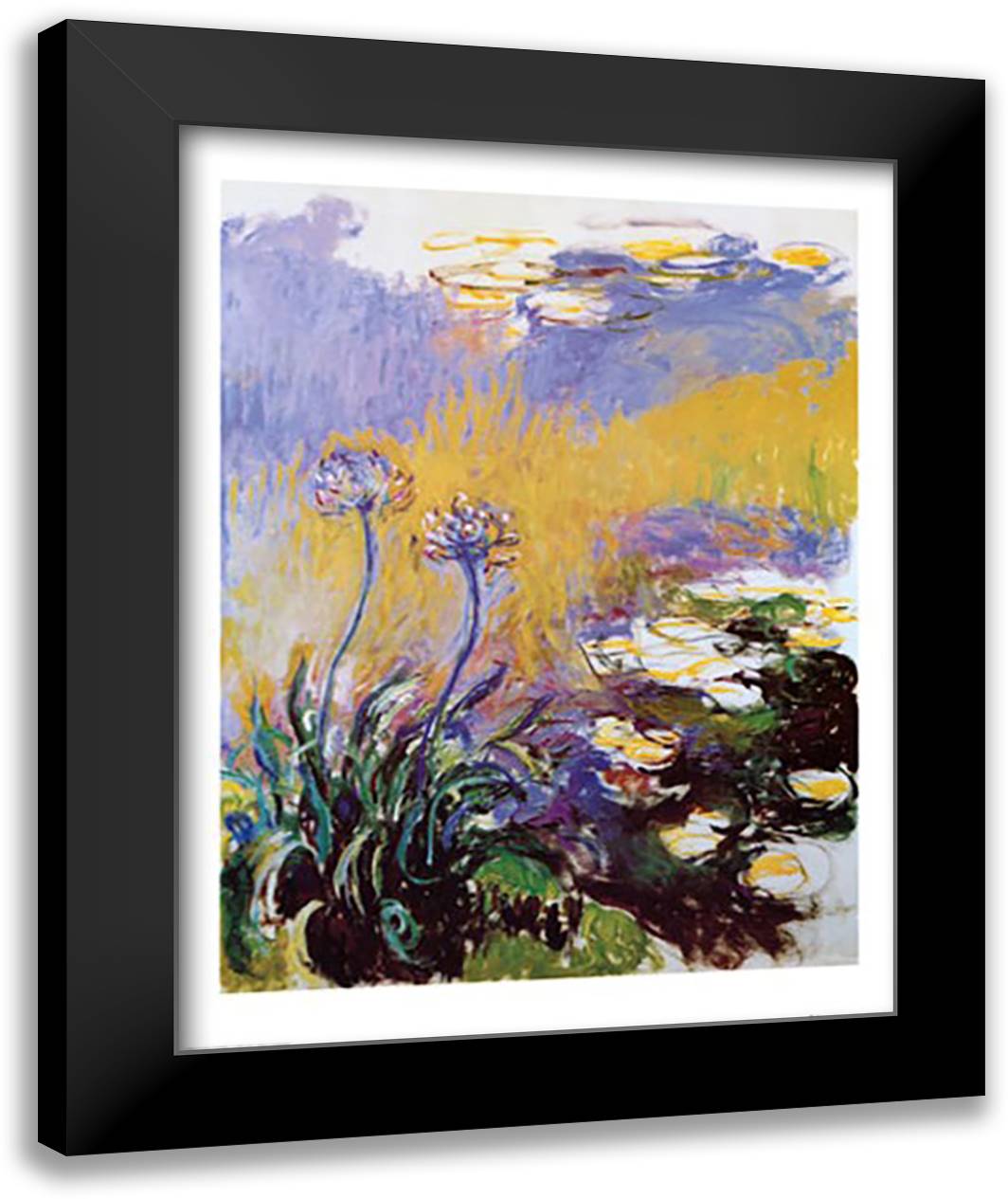 Les Agapanthes 28x40 Black Modern Wood Framed Art Print Poster by Monet, Claude