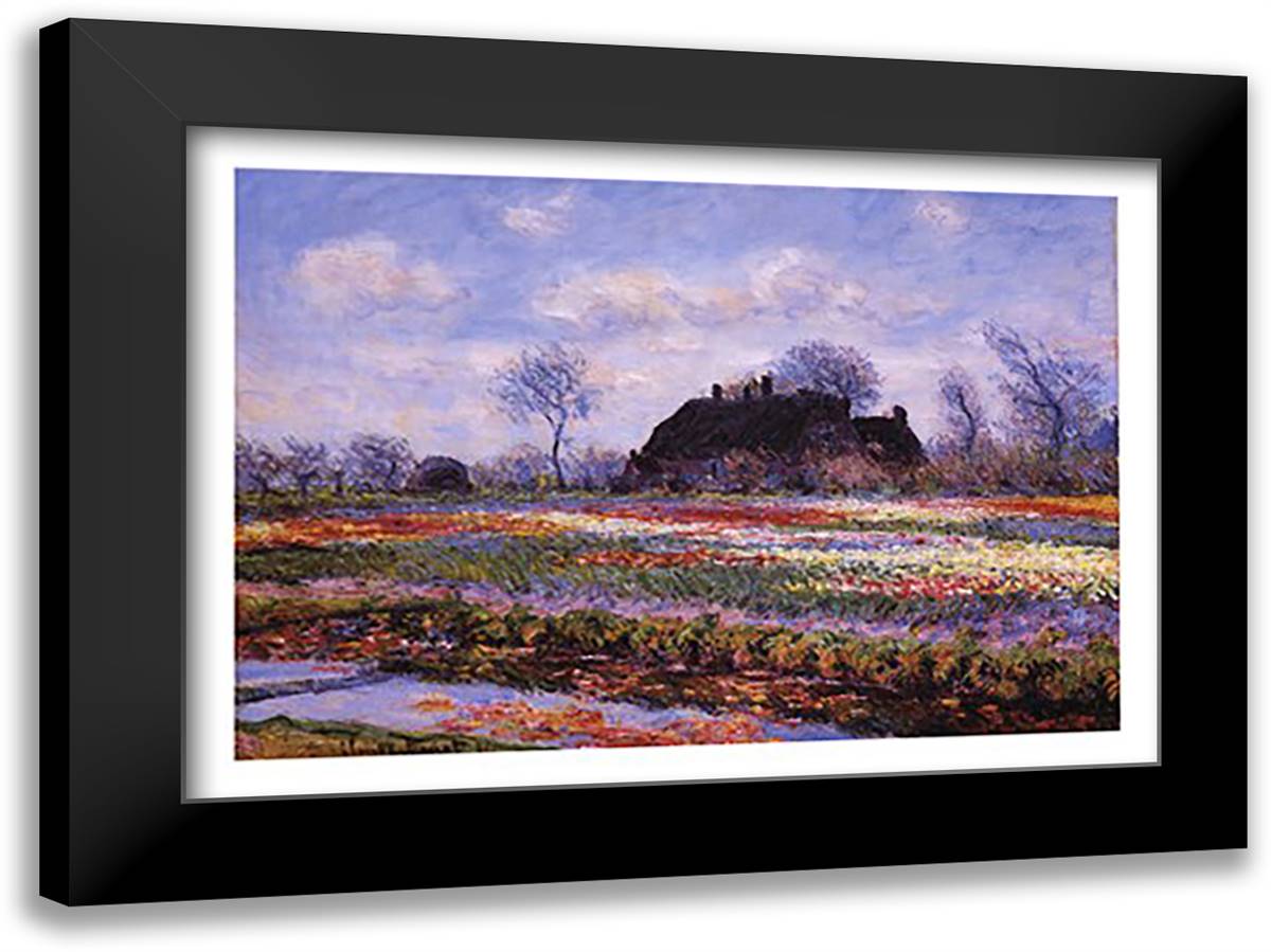 Tulip Fields at Sassenheim 40x28 Black Modern Wood Framed Art Print Poster by Monet, Claude