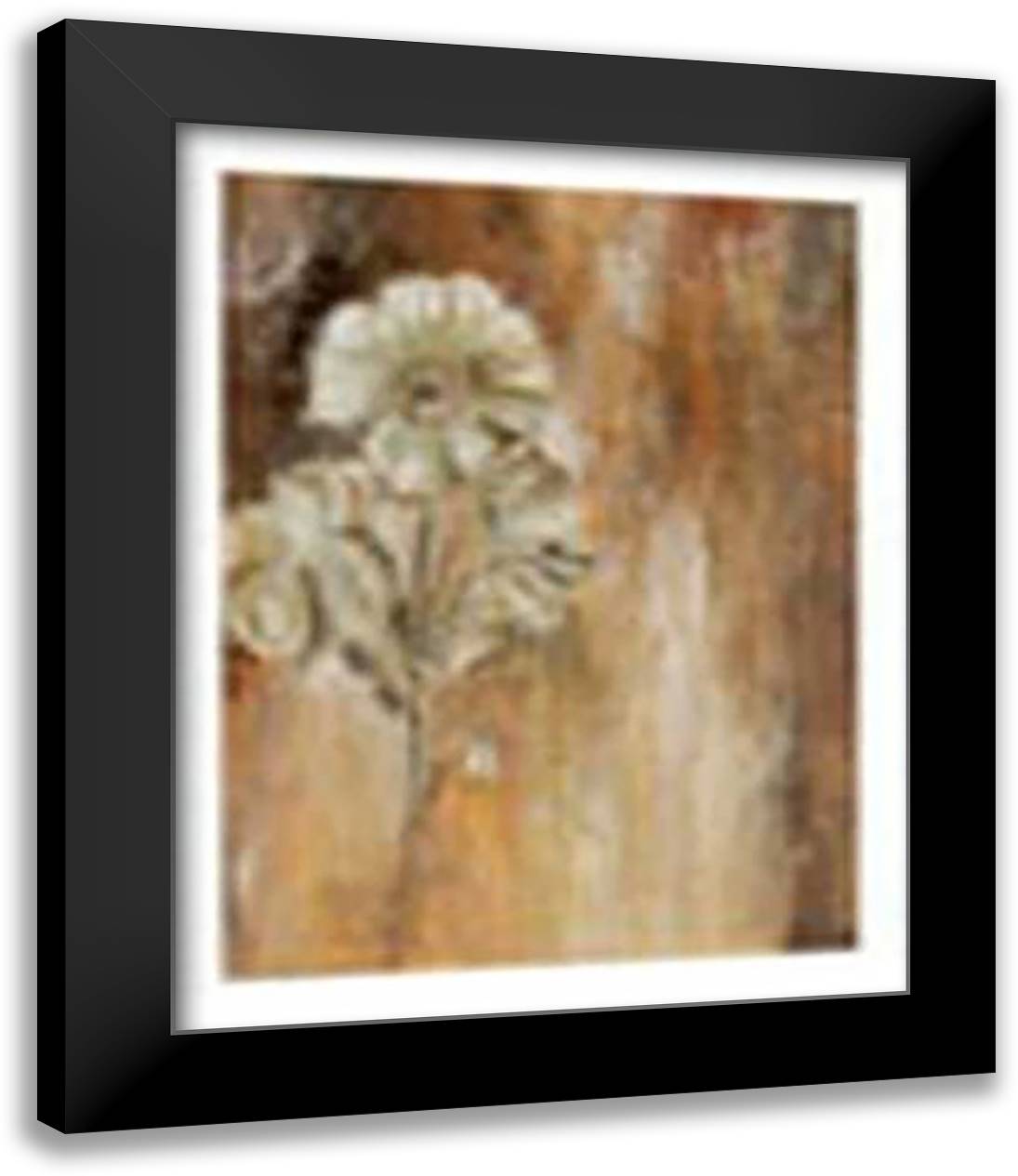 Papaveraceae I 14x16 Black Modern Wood Framed Art Print Poster by Bogerd, Escha Van Den