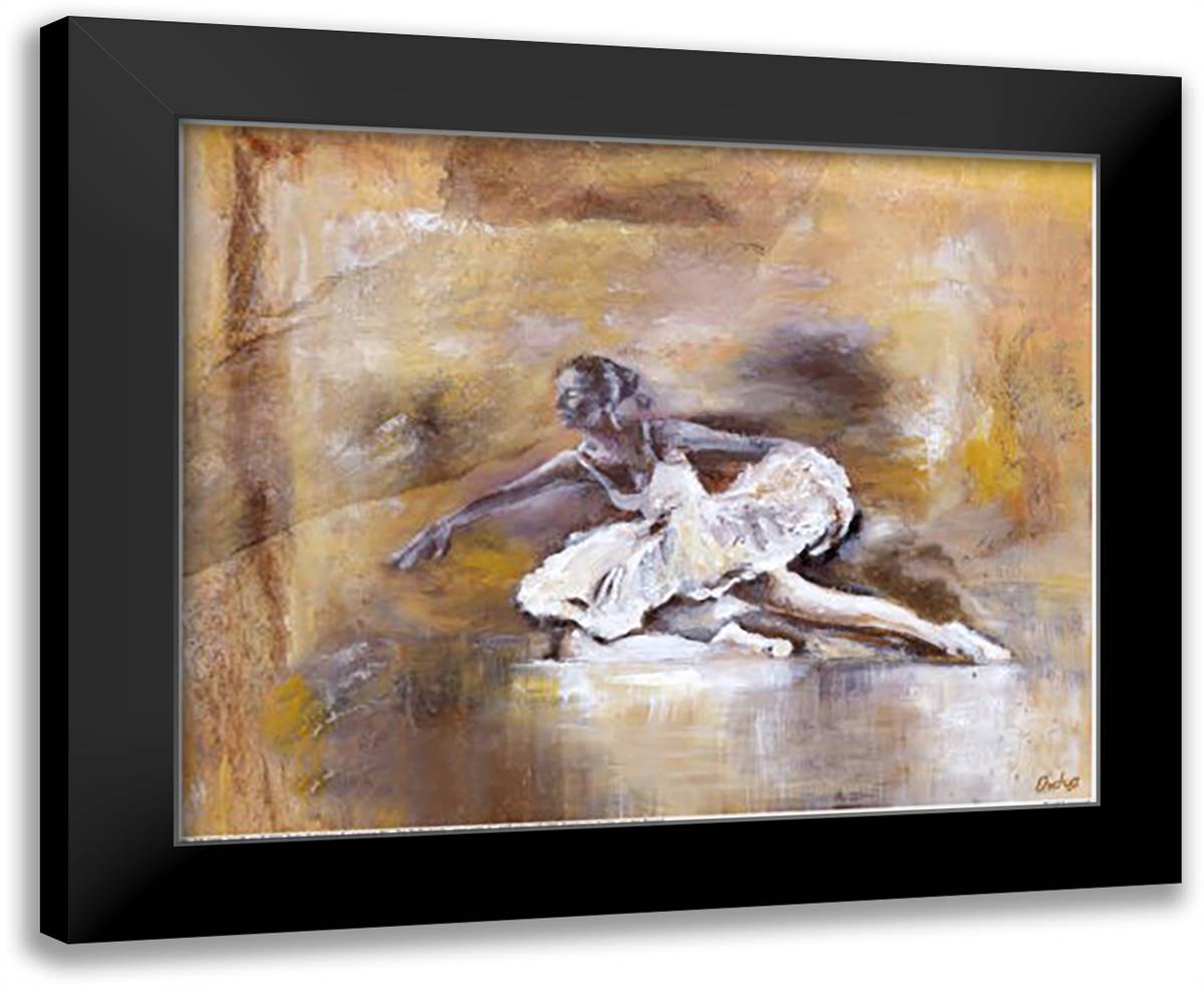 Resplendir I 16x14 Black Modern Wood Framed Art Print Poster by Bogerd, Escha Van Den