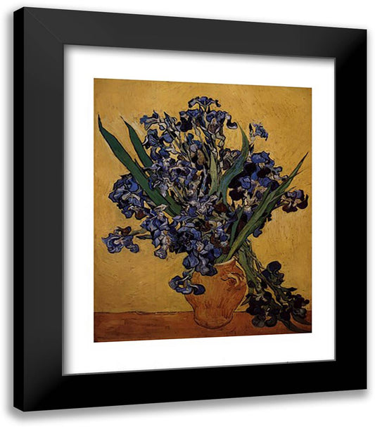 Les Irises 20x24 Black Modern Wood Framed Art Print Poster by Van Gogh, Vincent