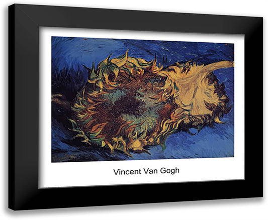 Tournesol 24x20 Black Modern Wood Framed Art Print Poster by Van Gogh, Vincent