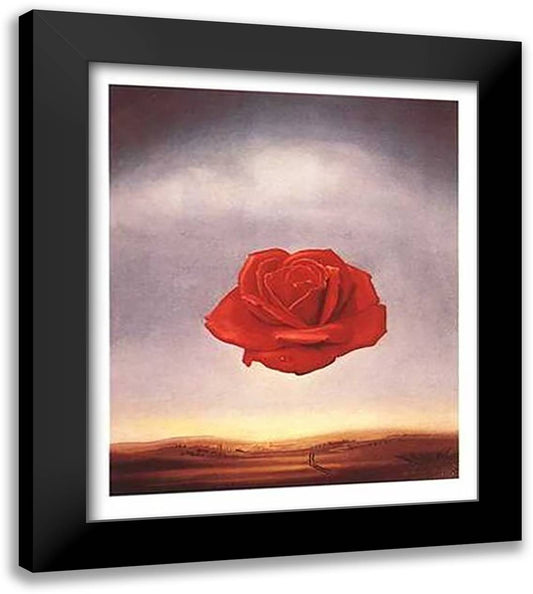 Meditative Rose, c.1958 20x24 Black Modern Wood Framed Art Print Poster by Dali, Salvador