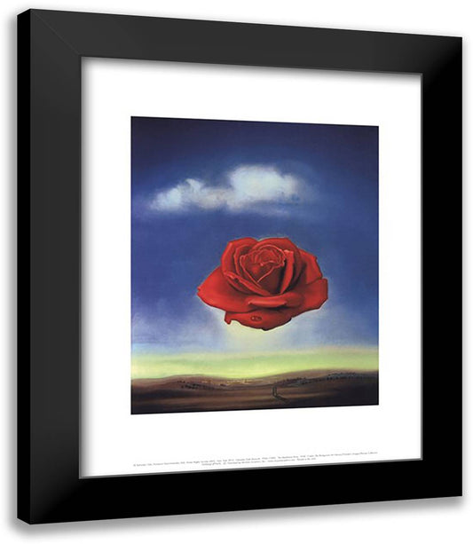 Meditative Rose, c.1958 15x18 Black Modern Wood Framed Art Print Poster by Dali, Salvador