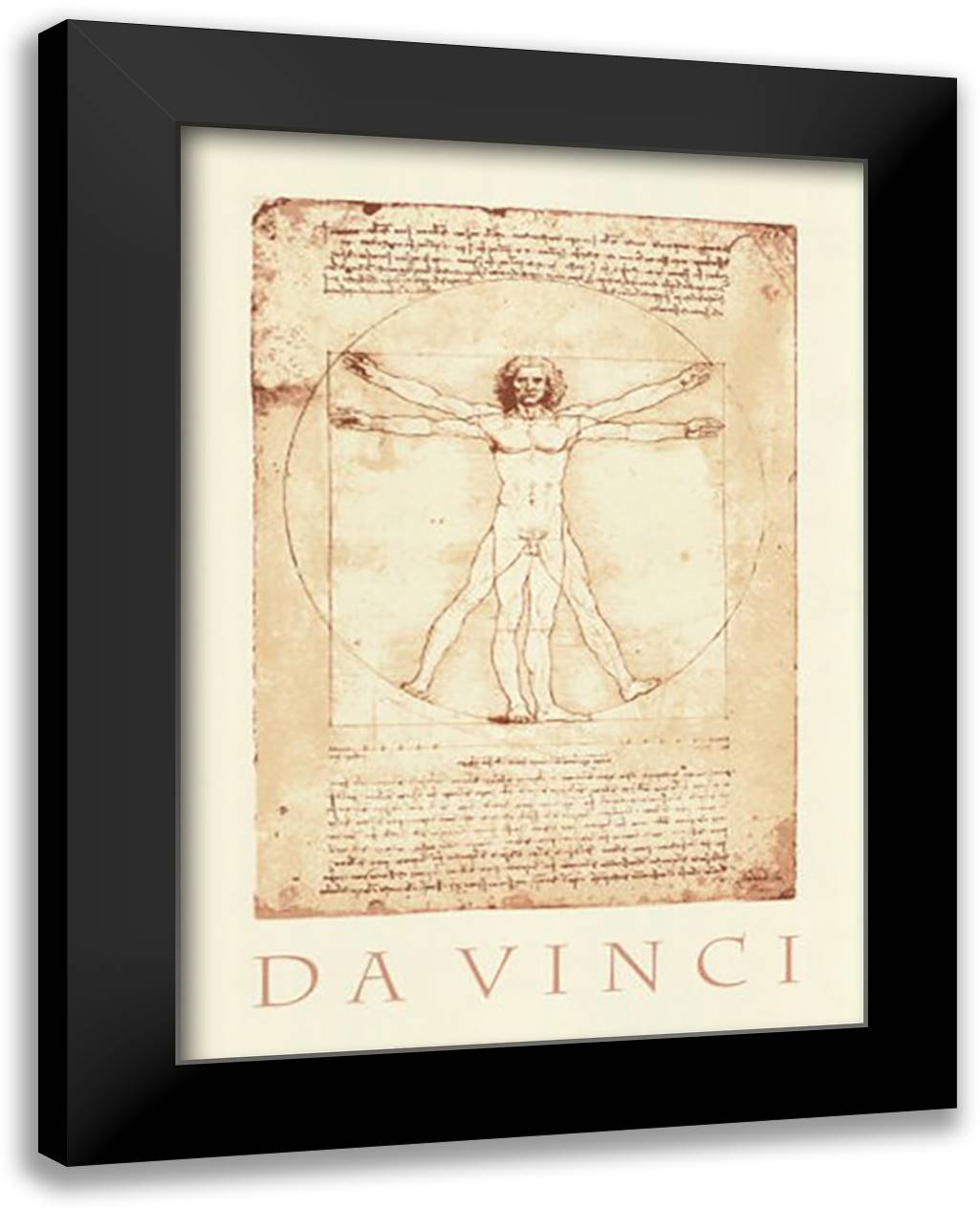 The Vitruvian Man (serigraph) 28x40 Black Modern Wood Framed Art Print Poster by da Vinci, Leonardo