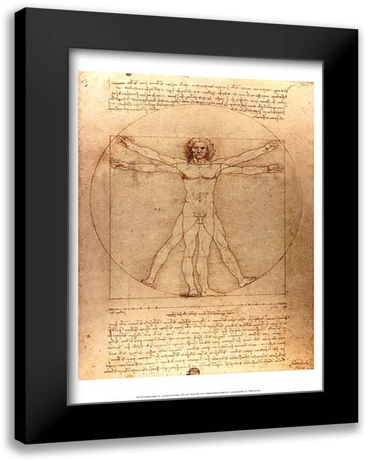 Vitruvian Man 17x23 Black Modern Wood Framed Art Print Poster by da Vinci, Leonardo