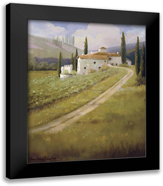 Tuscany Vineyard 20x24 Black Modern Wood Framed Art Print Poster by Hawley, Carolyne