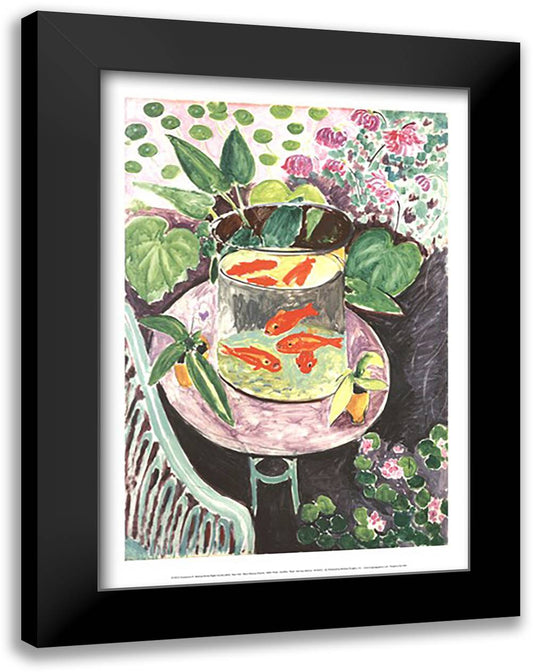 Goldfish 17x23 Black Modern Wood Framed Art Print Poster by Matisse, Henri