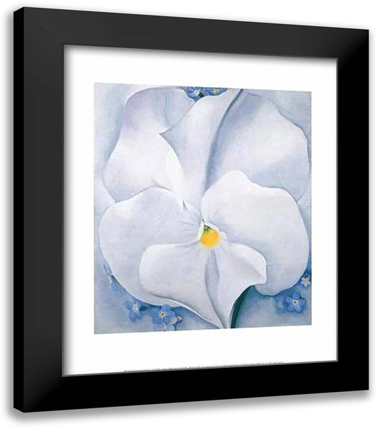 White Pansy 20x24 Black Modern Wood Framed Art Print Poster by O'Keeffe, Georgia