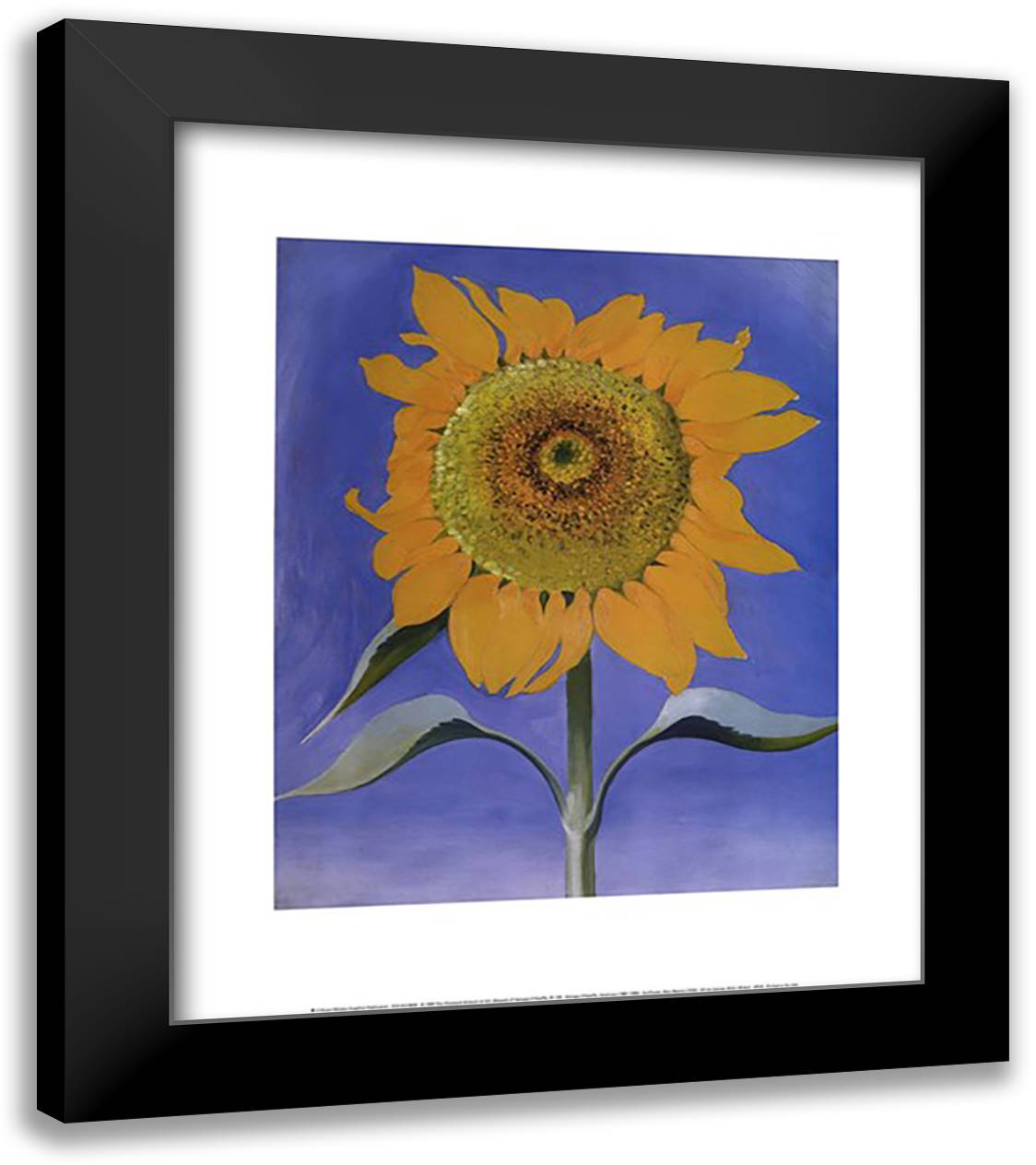 Sunflower, New Mexico, 1935 20x24 Black Modern Wood Framed Art Print Poster by O'Keeffe, Georgia