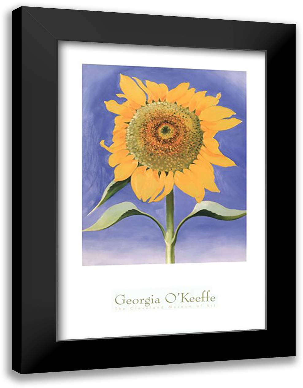 Sunflower, New Mexico, 1935 28x40 Black Modern Wood Framed Art Print Poster by O'Keeffe, Georgia