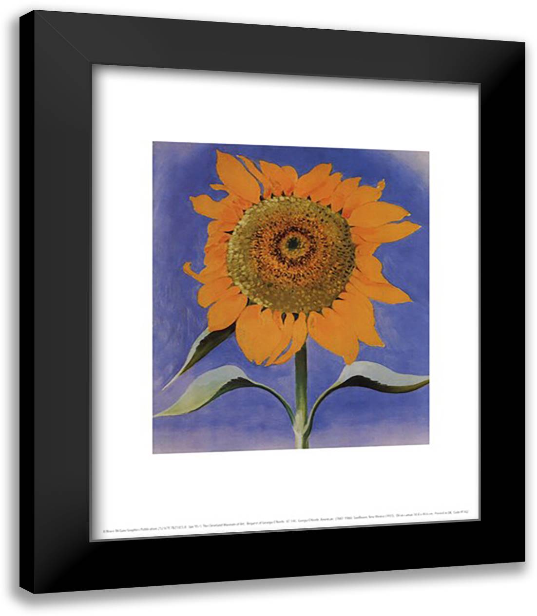 Sunflower, New Mexico, 1935 15x18 Black Modern Wood Framed Art Print Poster by O'Keeffe, Georgia