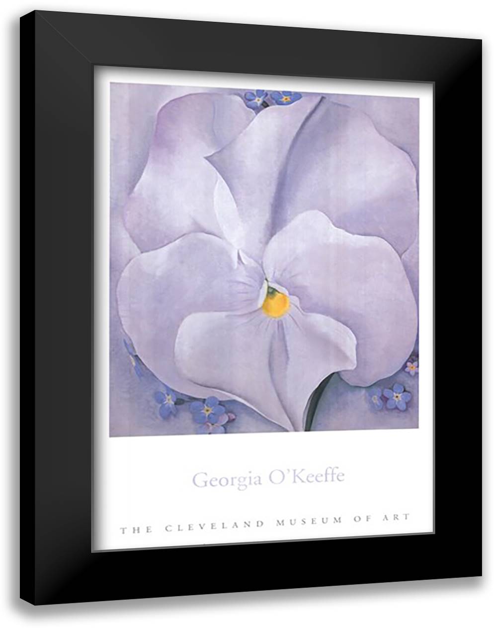 White Pansy 28x40 Black Modern Wood Framed Art Print Poster by O'Keeffe, Georgia