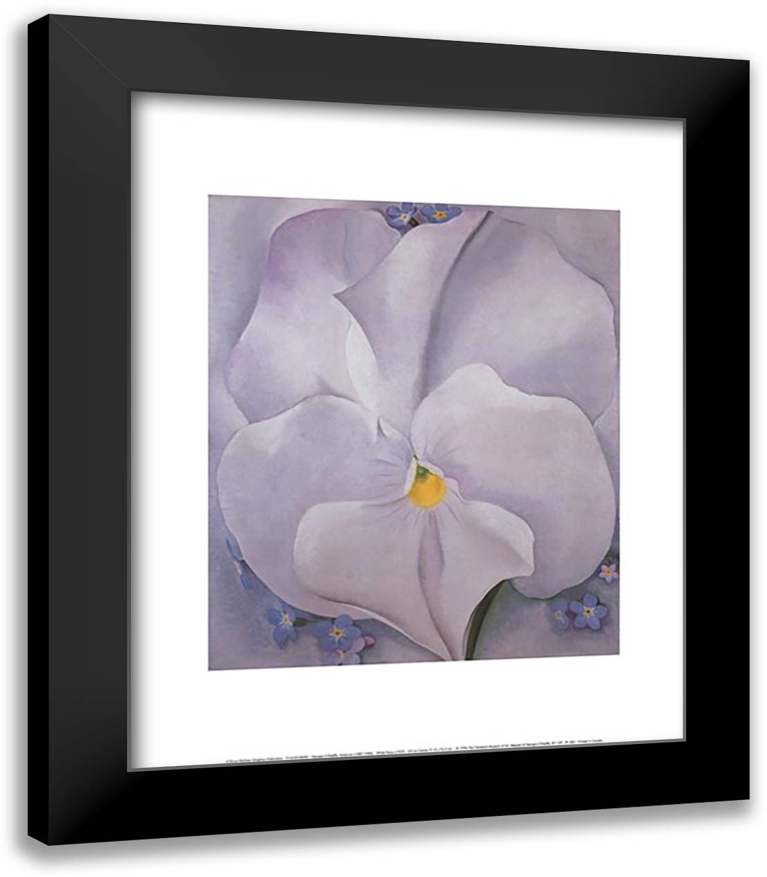 White Pansy 15x18 Black Modern Wood Framed Art Print Poster by O'Keeffe, Georgia