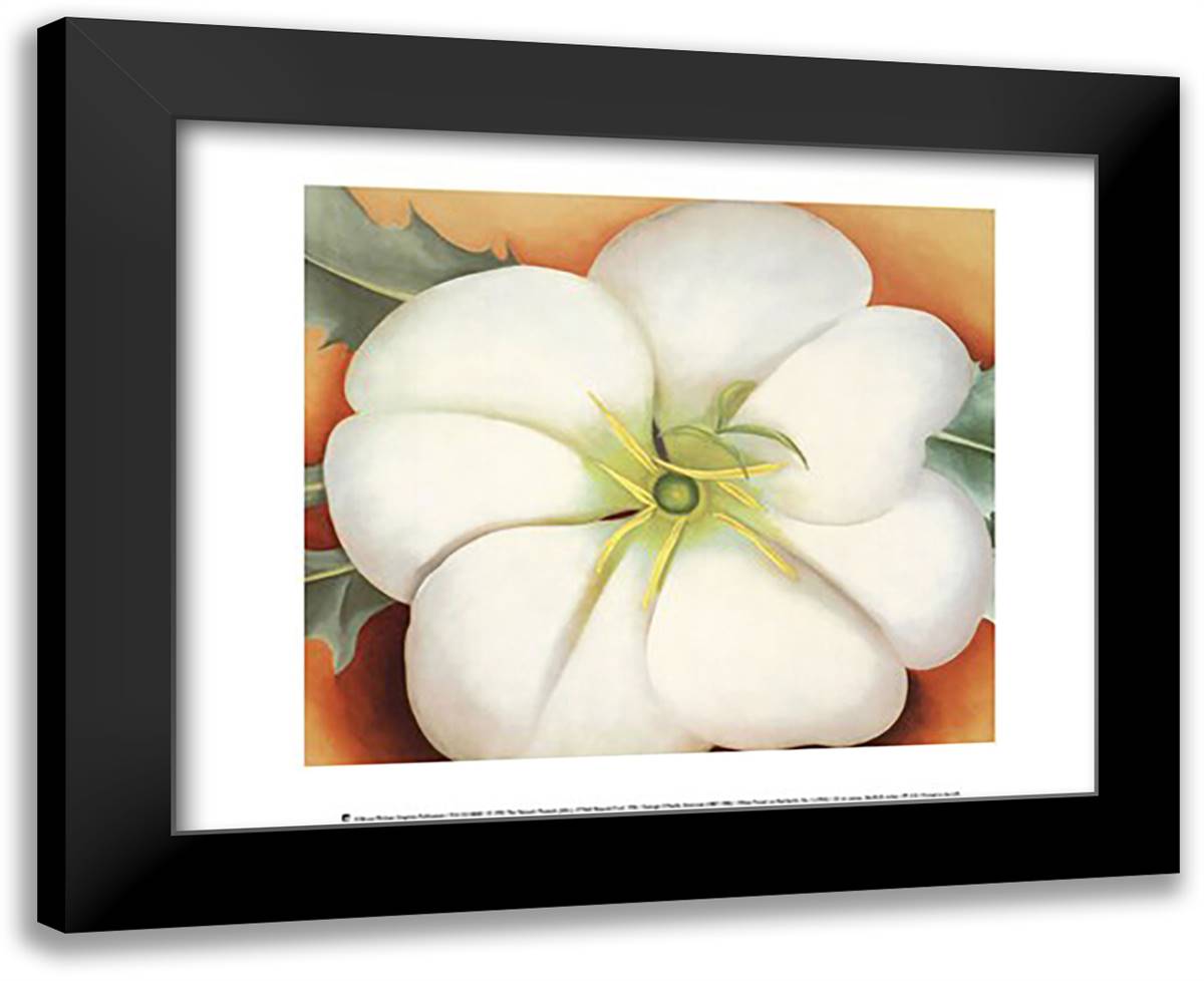 White Flower on Red Earth, No. 1 18x15 Black Modern Wood Framed Art Print Poster by O'Keeffe, Georgia