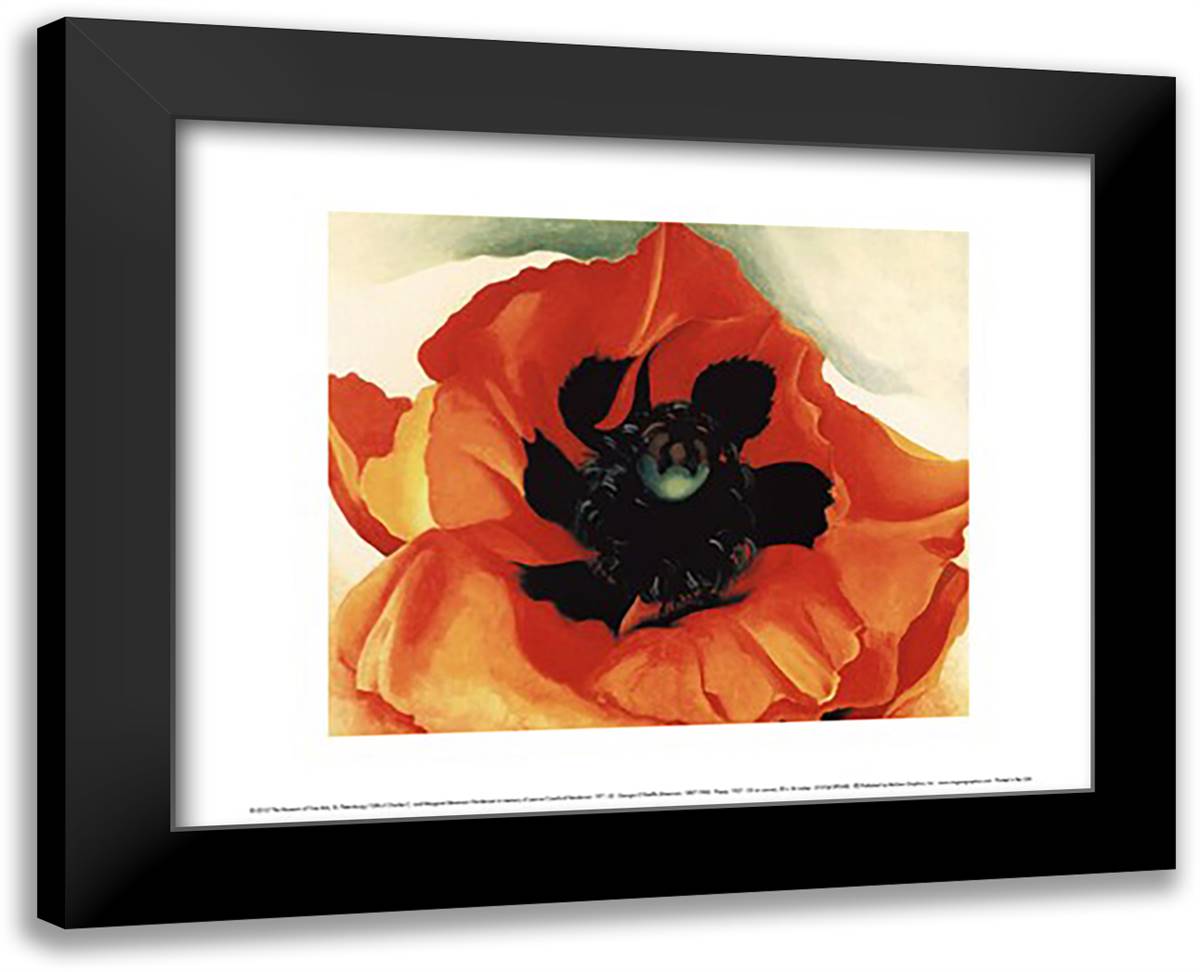 Poppy, 1927 18x15 Black Modern Wood Framed Art Print Poster by O'Keeffe, Georgia