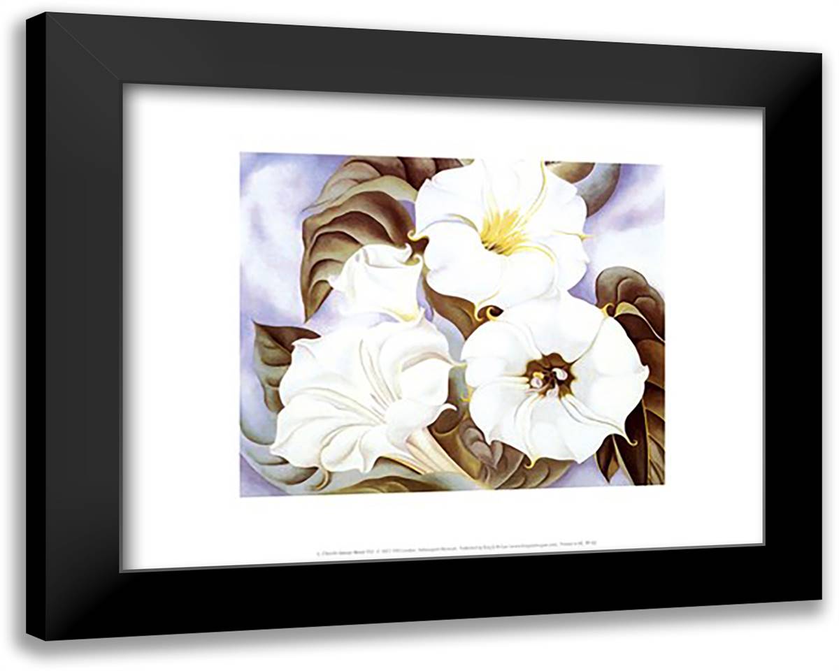 Jimson Weed, 1935 18x15 Black Modern Wood Framed Art Print Poster by O'Keeffe, Georgia