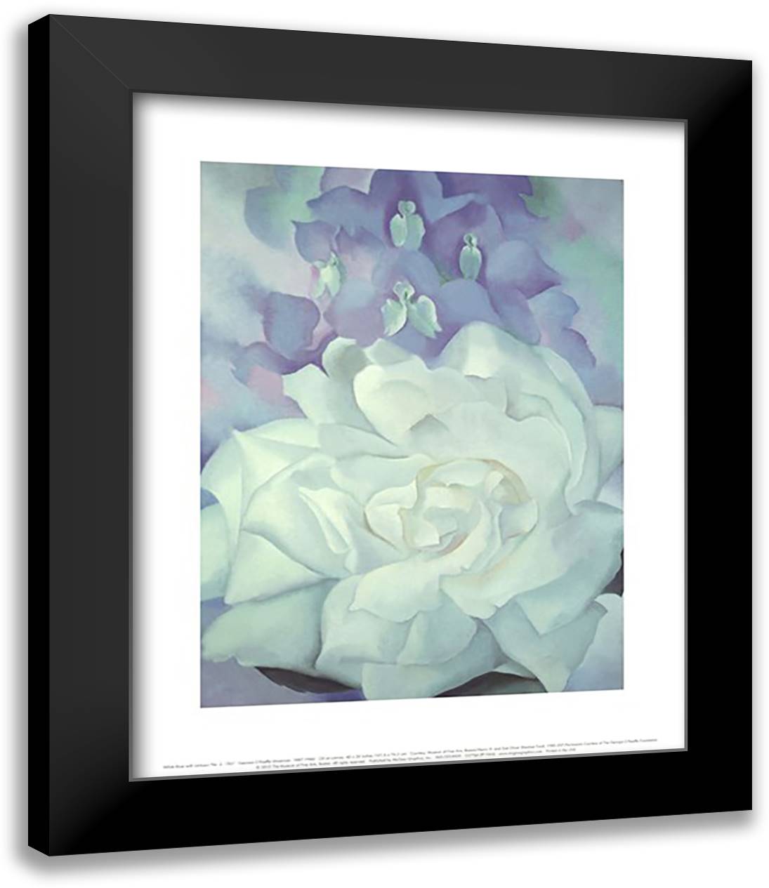 White Rose with Larkspur No. 2, 1927 15x18 Black Modern Wood Framed Art Print Poster by O'Keeffe, Georgia