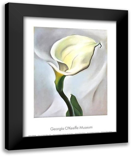 Calla Lily Turned Away, 1923 22x28 Black Modern Wood Framed Art Print Poster by O'Keeffe, Georgia