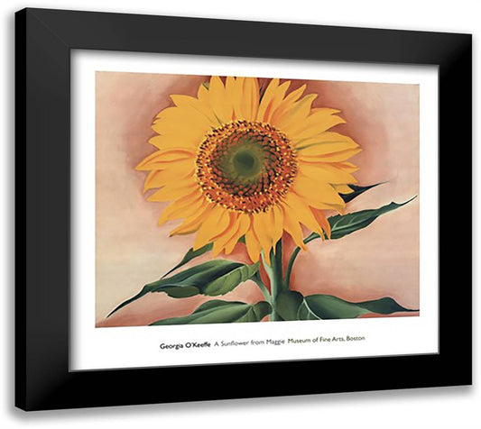 A Sunflower from Maggie, 1937 32x28 Black Modern Wood Framed Art Print Poster by O'Keeffe, Georgia