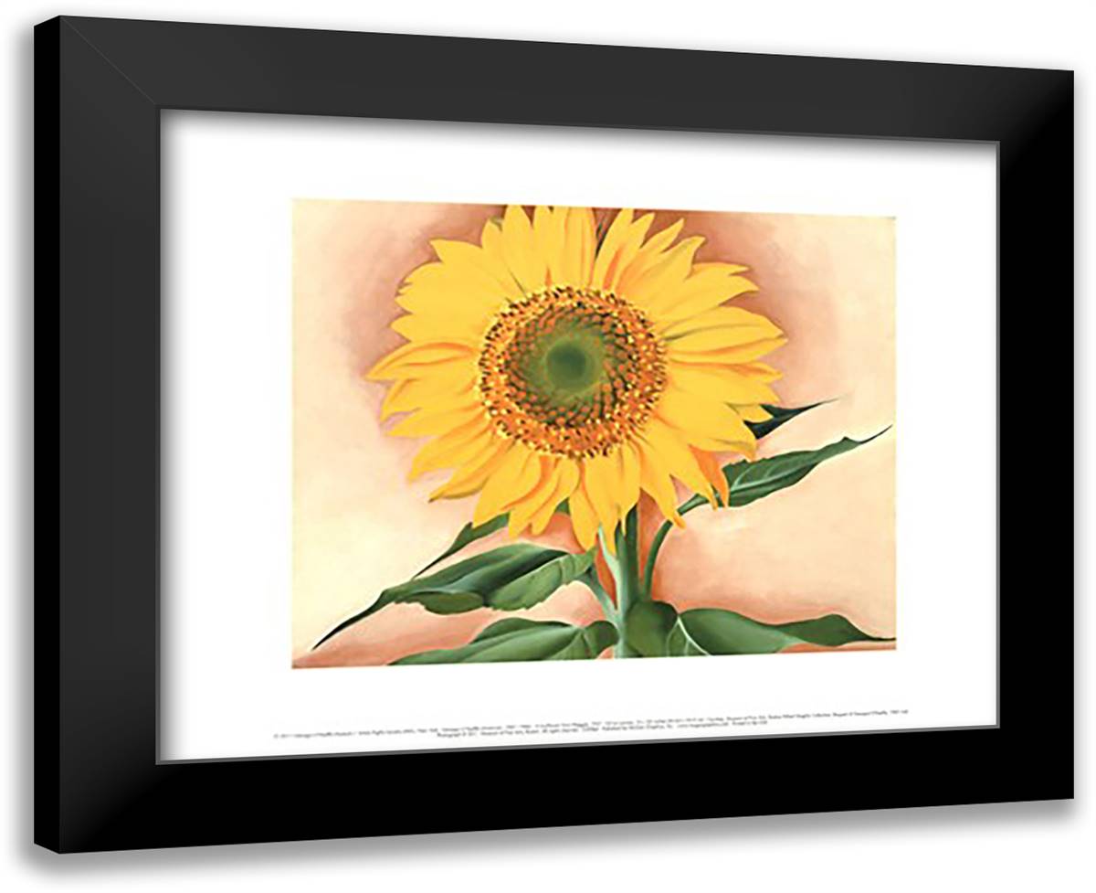 A Sunflower from Maggie, 1937 18x15 Black Modern Wood Framed Art Print Poster by O'Keeffe, Georgia