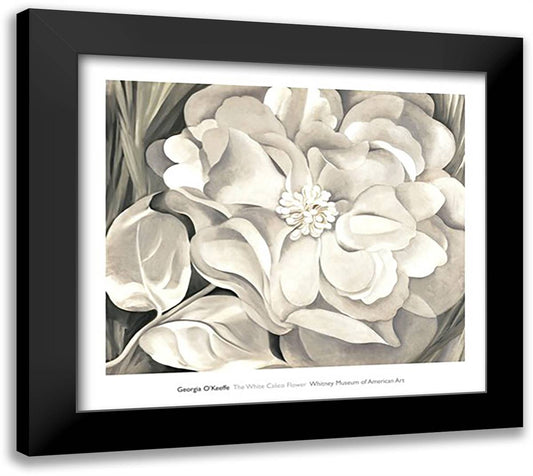 The White Calico Flower, 1931 32x28 Black Modern Wood Framed Art Print Poster by O'Keeffe, Georgia