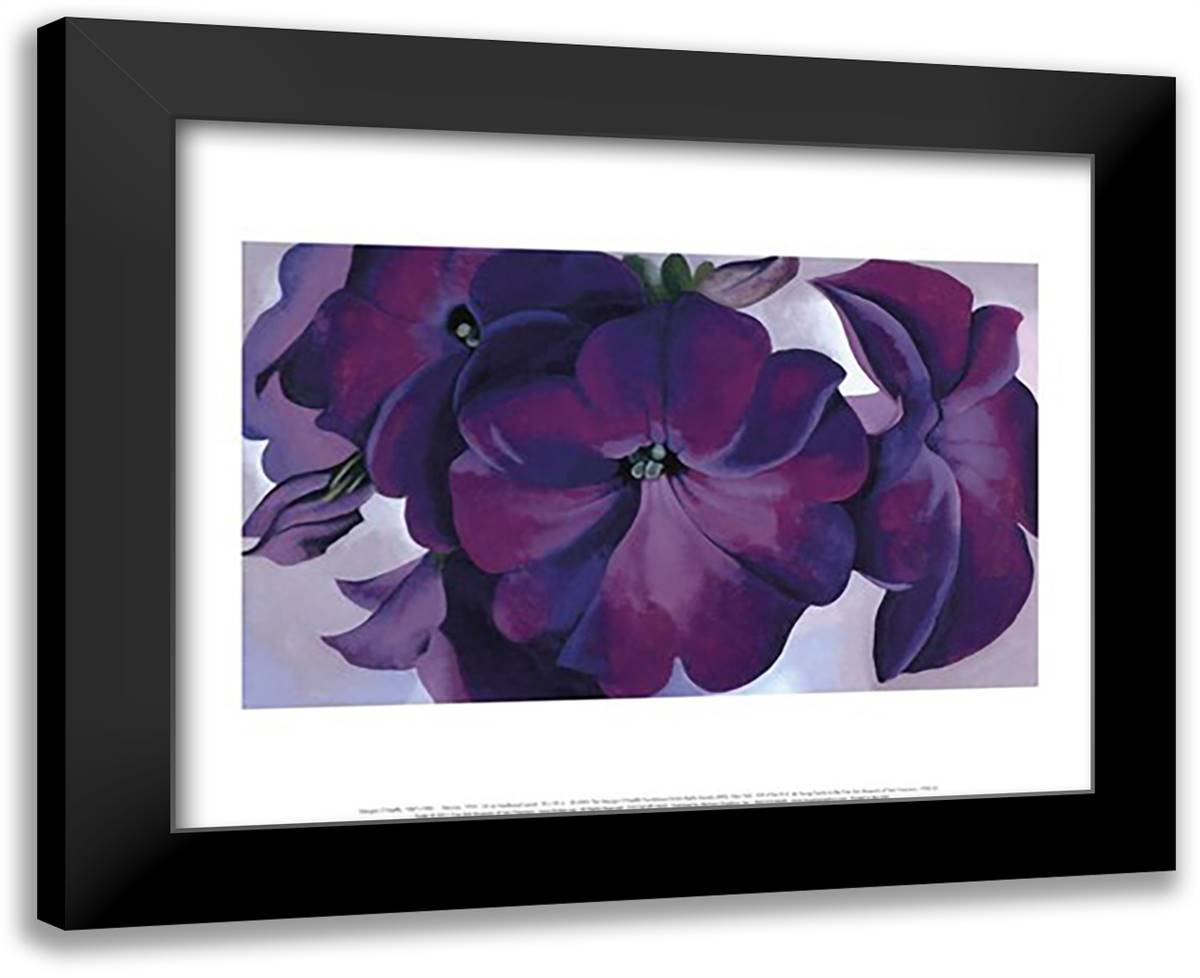 Petunias, 1925 18x15 Black Modern Wood Framed Art Print Poster by O'Keeffe, Georgia