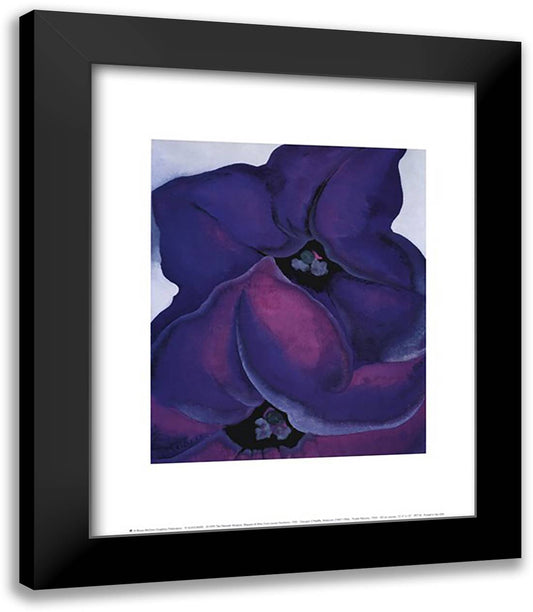 Purple Petunias, 1925 15x18 Black Modern Wood Framed Art Print Poster by O'Keeffe, Georgia