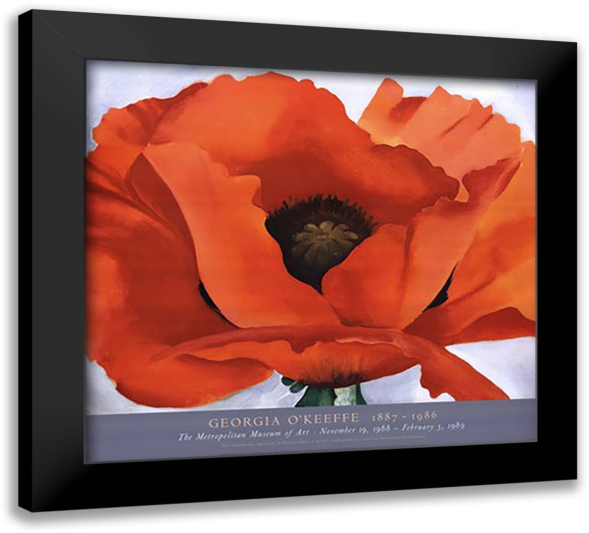 Red Poppy 32x28 Black Modern Wood Framed Art Print Poster by O'Keeffe, Georgia