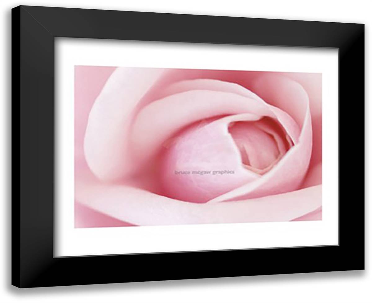 Pink 18x15 Black Modern Wood Framed Art Print Poster by Leighton, Brian