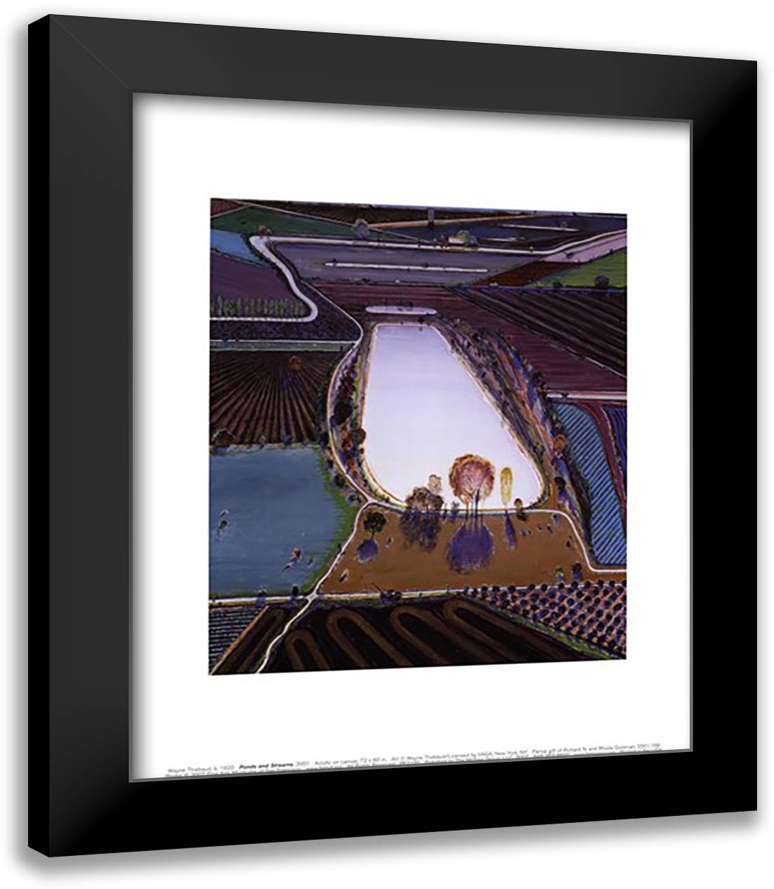 Ponds and Streams 15x18 Black Modern Wood Framed Art Print Poster by Thiebaud, Wayne