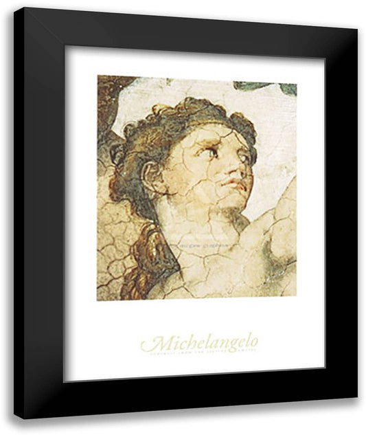 Sistine Chapel Eve 13x16 Black Modern Wood Framed Art Print Poster by Michelangelo