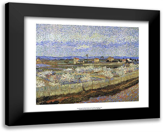 Peach Blossoms in the Crau 18x15 Black Modern Wood Framed Art Print Poster by Van Gogh, Vincent