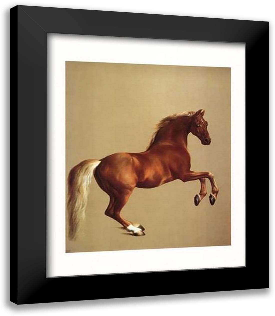 Whistlejacket 15x18 Black Modern Wood Framed Art Print Poster by Stubbs, George