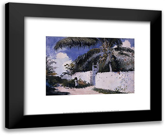 A Garden in Nassau, 1885 18x15 Black Modern Wood Framed Art Print Poster by Homer, Winslow