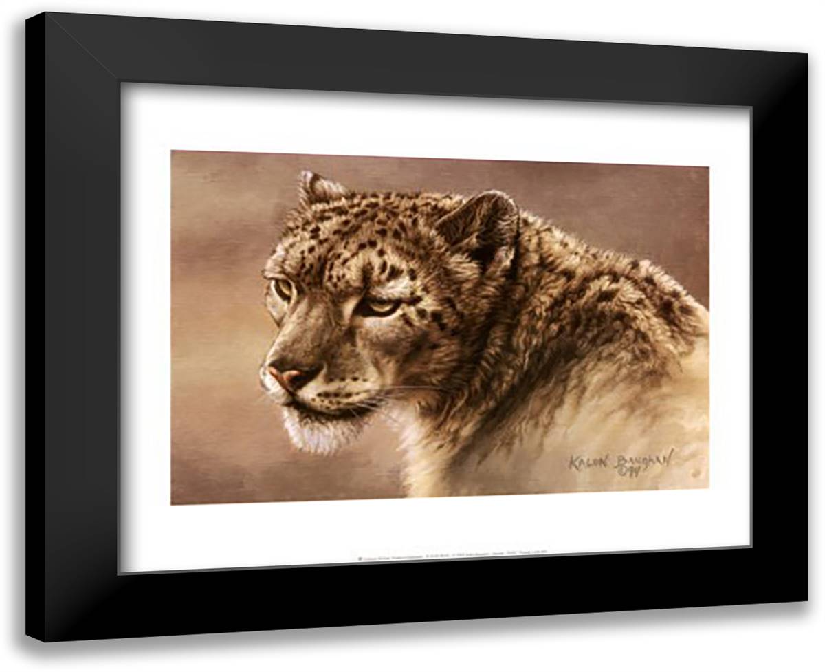 Serenity 18x15 Black Modern Wood Framed Art Print Poster by Baughan, Kalon