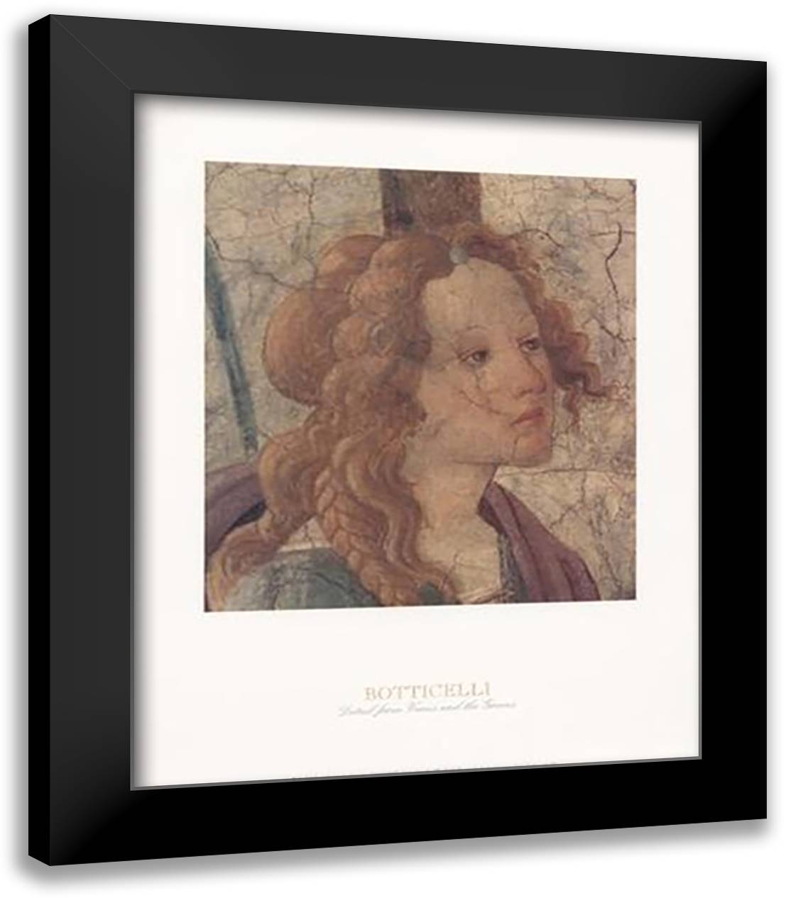 Detail: Venus and the Three Graces I 15x18 Black Modern Wood Framed Art Print Poster by Botticelli, Sandro