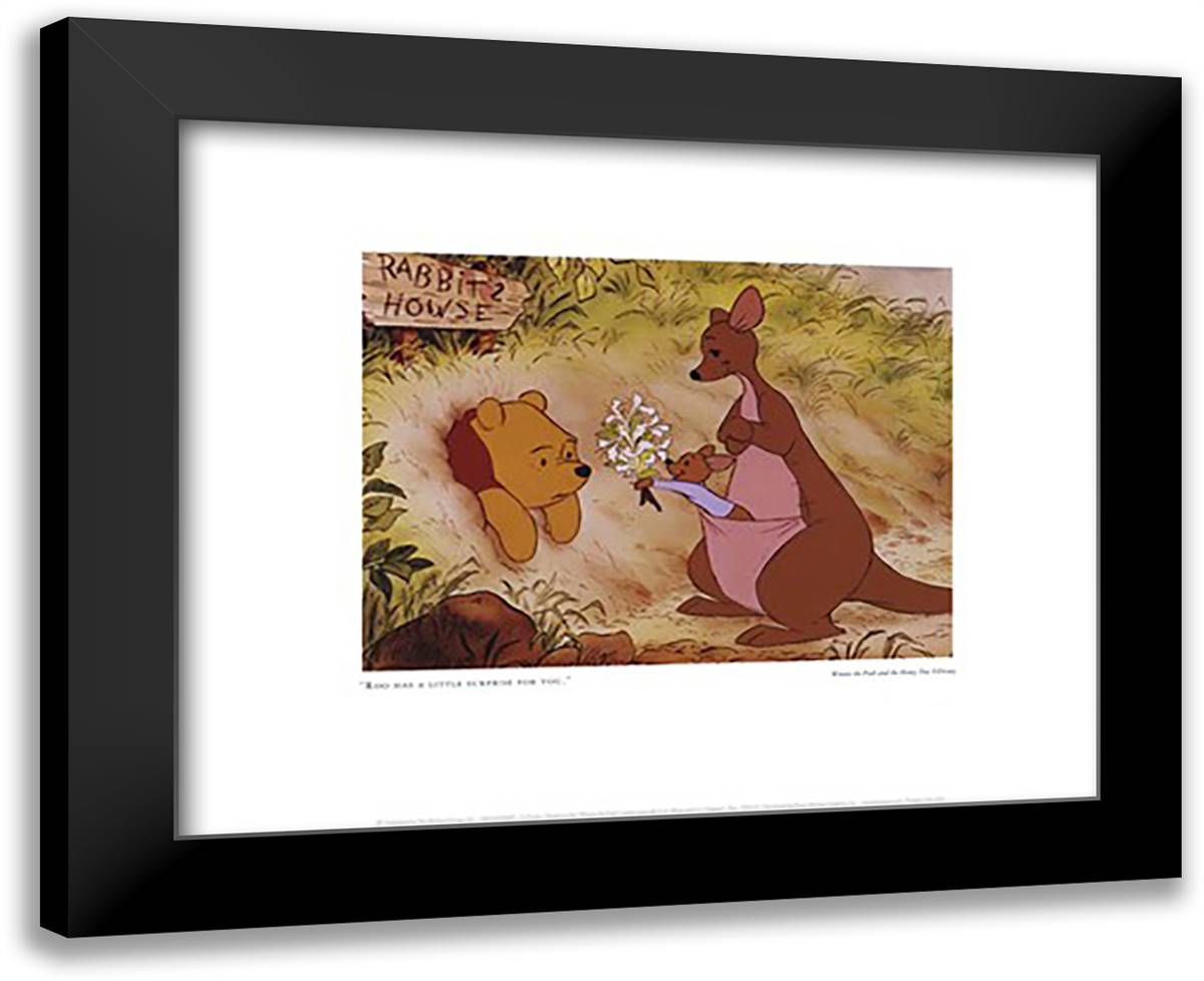 Roo 18x15 Black Modern Wood Framed Art Print Poster by Disney