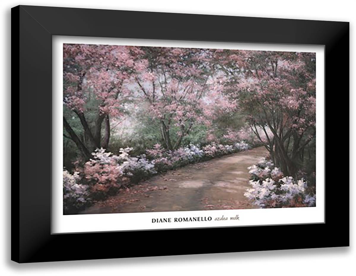 Azalea Walk 38x28 Black Modern Wood Framed Art Print Poster by Romanello, Diane